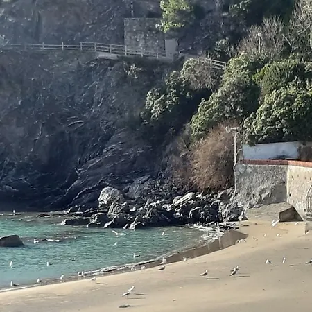 Cinque Terre Splendid Seaview * Moneglia